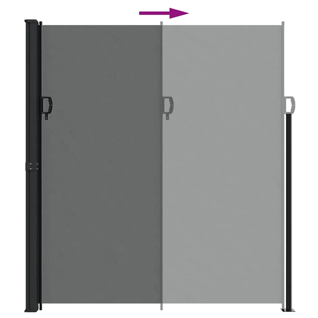 Retractable Side Awning Anthracite 220x500 cm Price