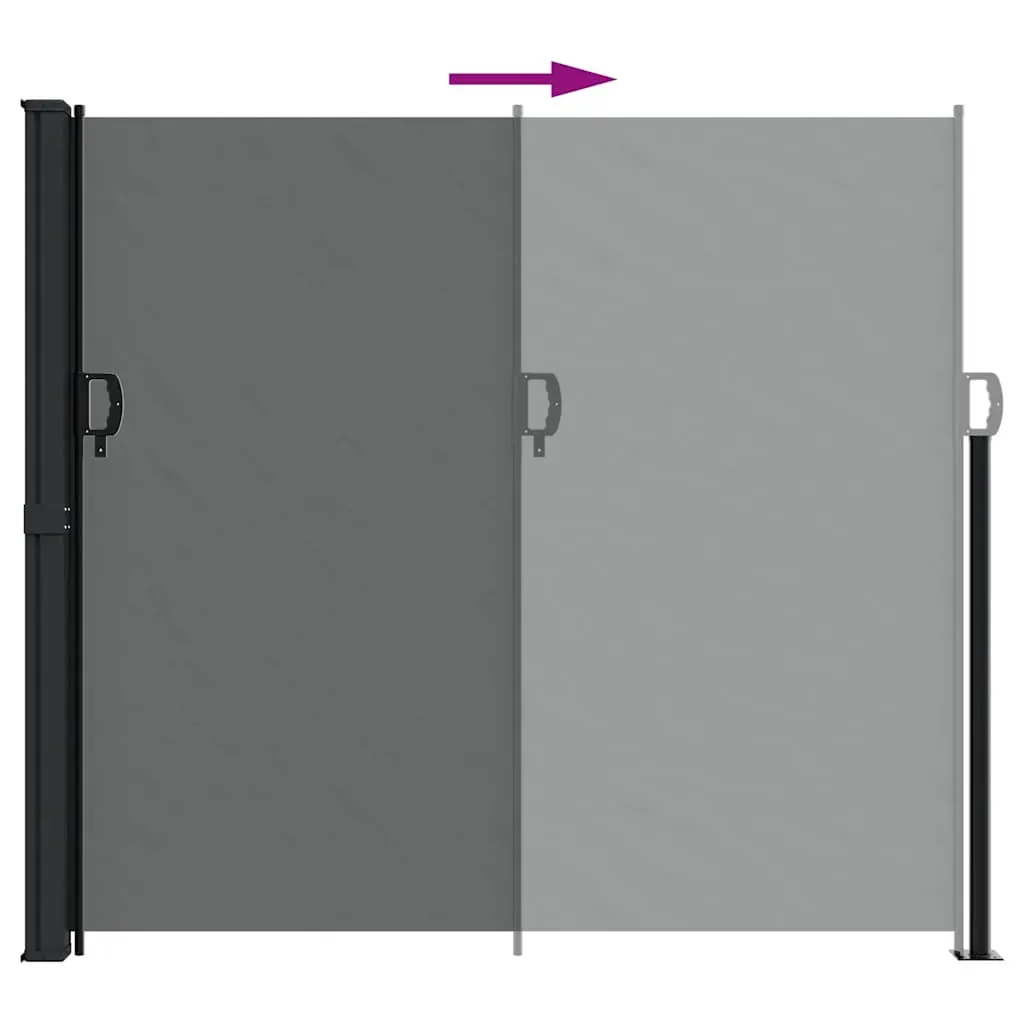 Retractable Side Awning Anthracite 180x600 cm Price