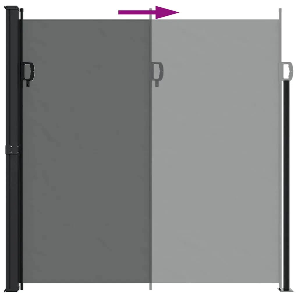 Retractable Side Awning Anthracite 200x600 cm Price