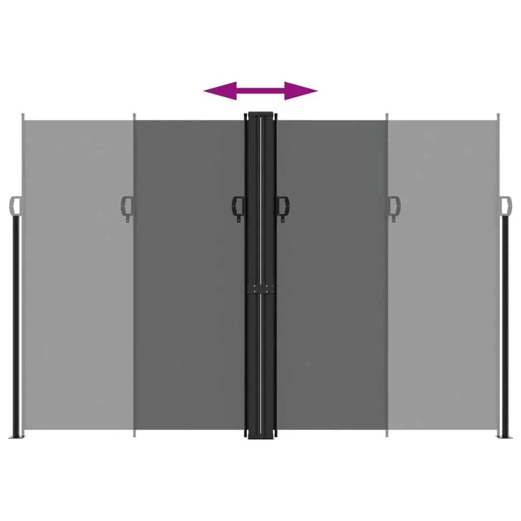 Retractable Side Awning Black 220x1000 cm Price