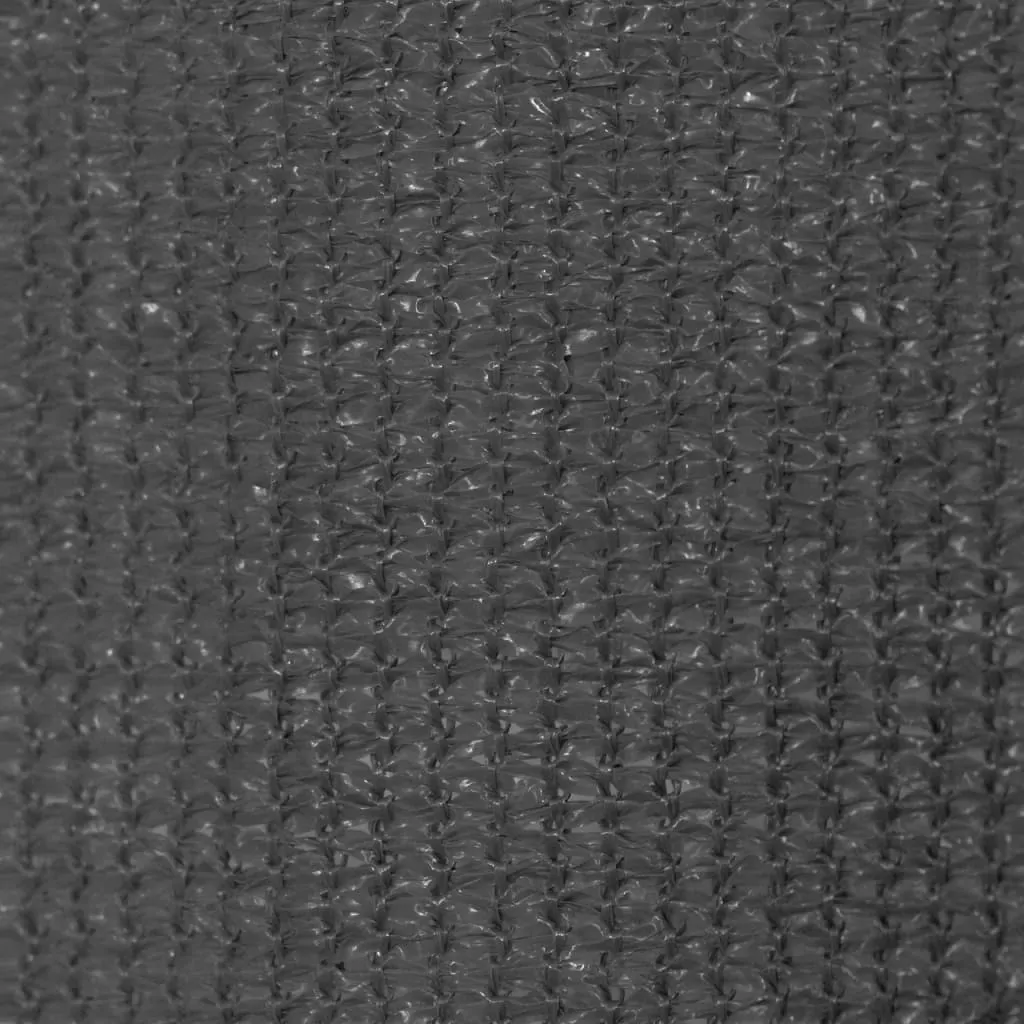 Outdoor Roller Blind 300x140 cm Anthracite Price