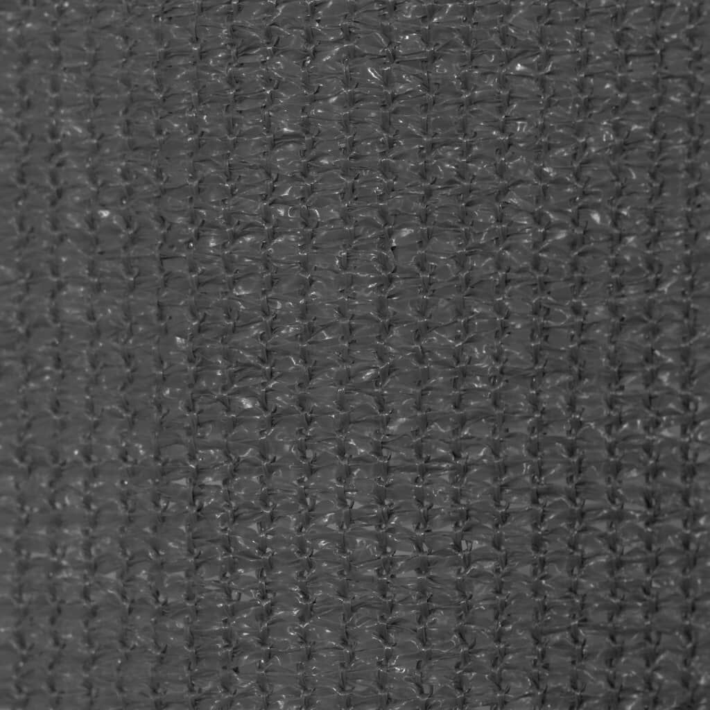 Outdoor Roller Blind 100x230 cm Anthracite Price