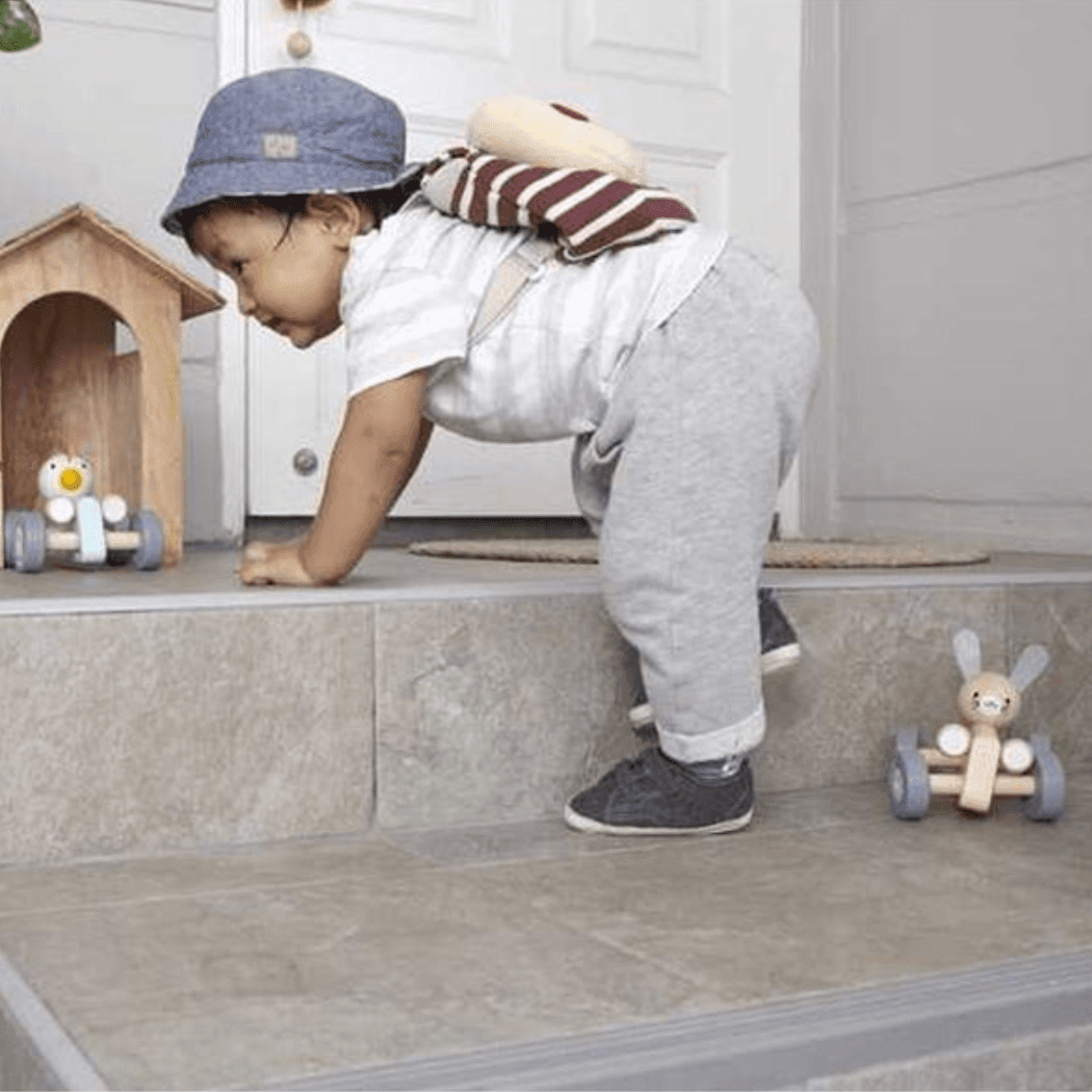 Bunny Racing Car Price