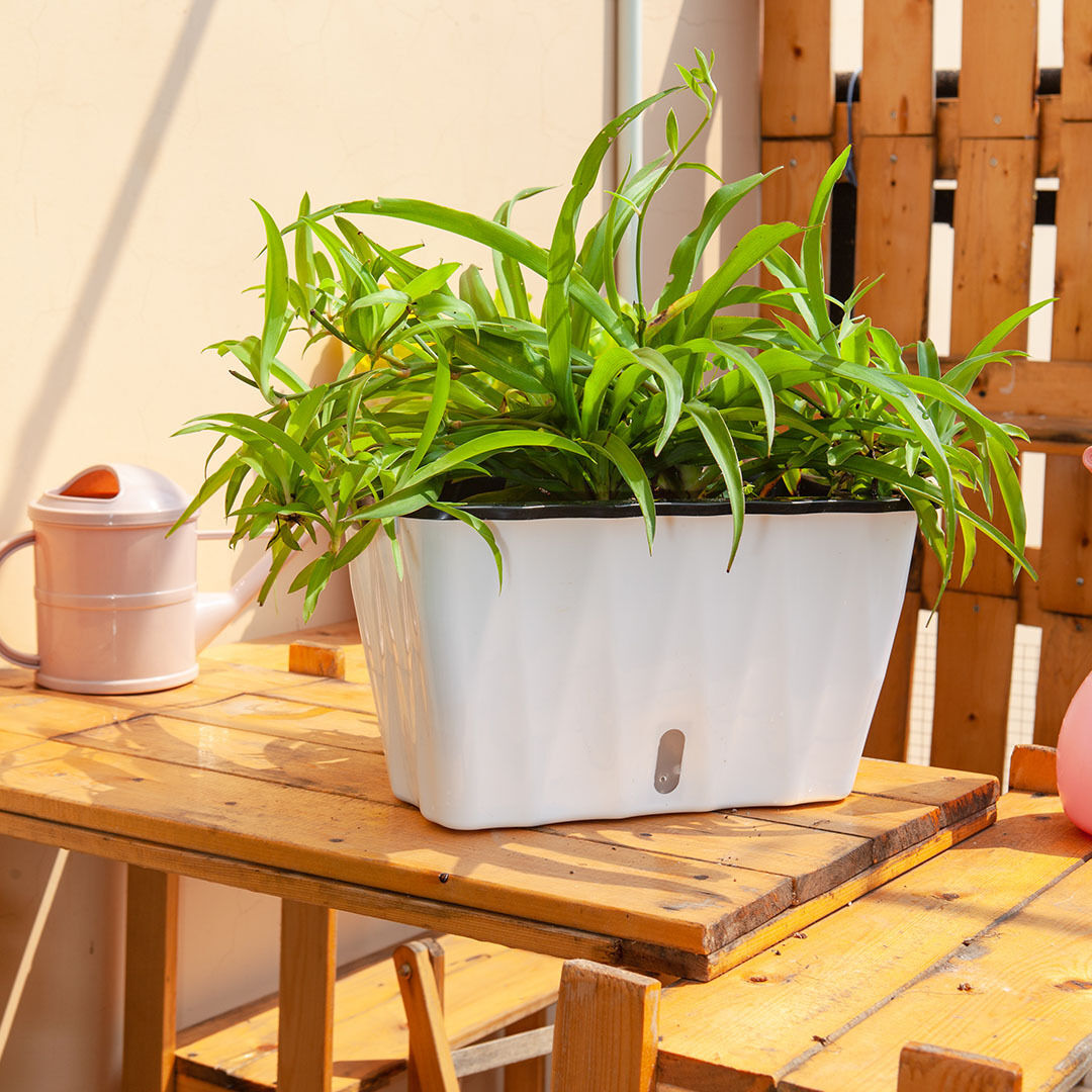 Rectangular Flowerpot Vegetable Herb Flower Outdoor Plastic Box Garden Decor Price