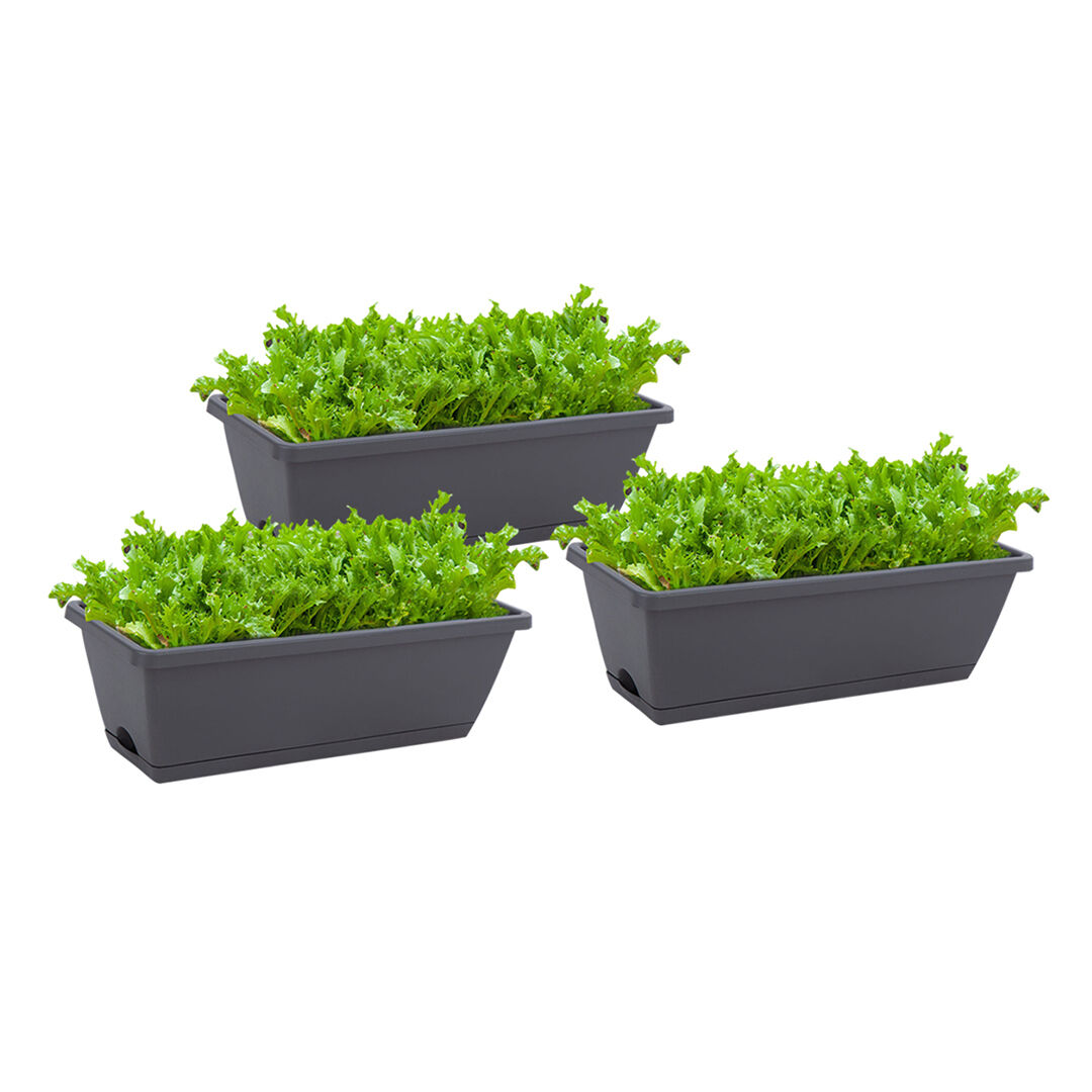 49.5cm Rectangular Planter Vegetable Herb Flower Outdoor Plastic Box with Holder Balcony Garden Décor Price