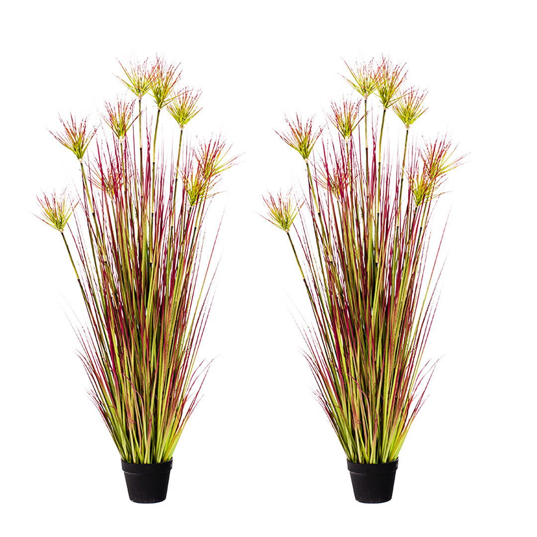 Purple-Red Artificial Indoor Potted Papyrus Plant Tree Fake Simulation Decorative Price