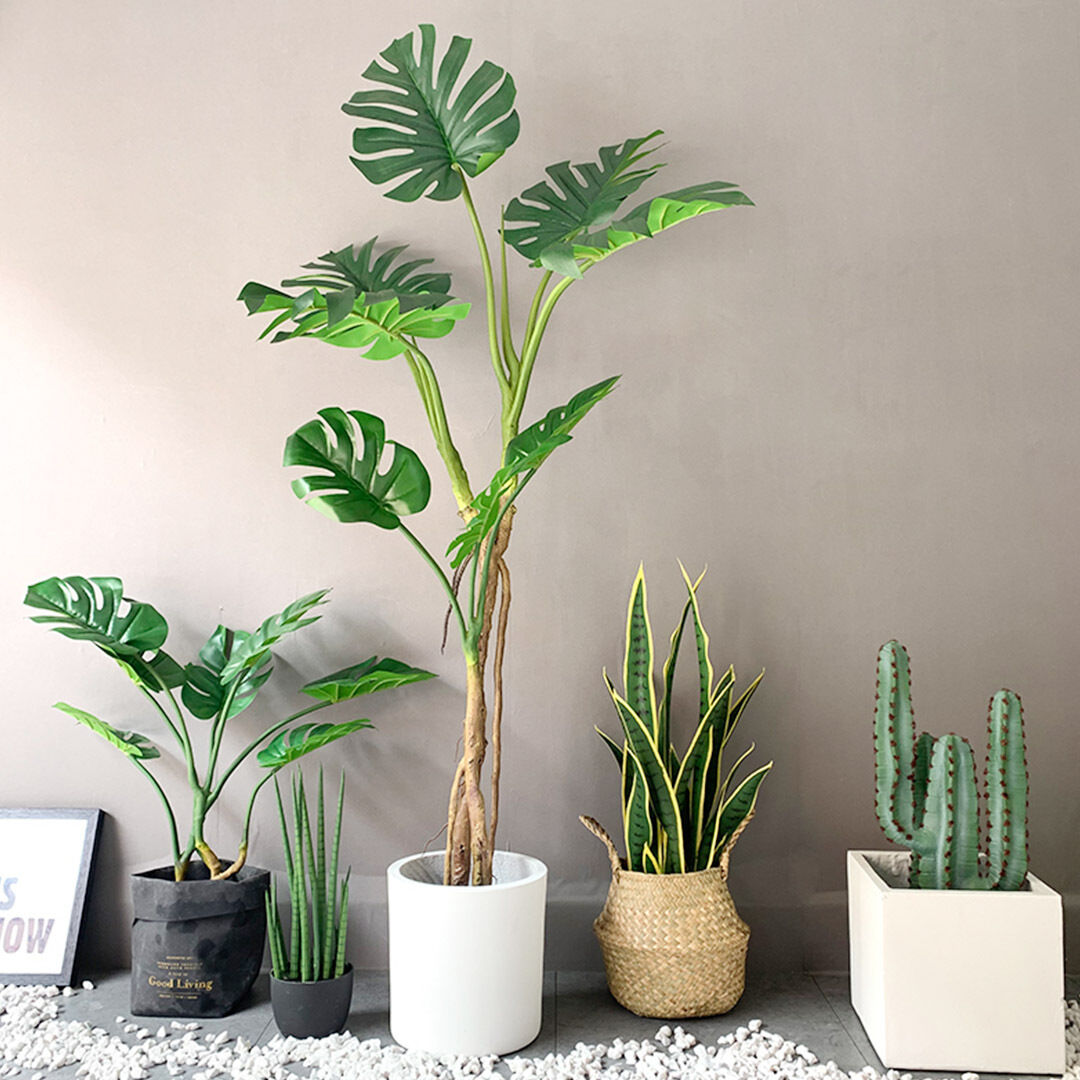 Green Artificial Indoor Turtle Back Tree Fake Fern Plant Decorative Price