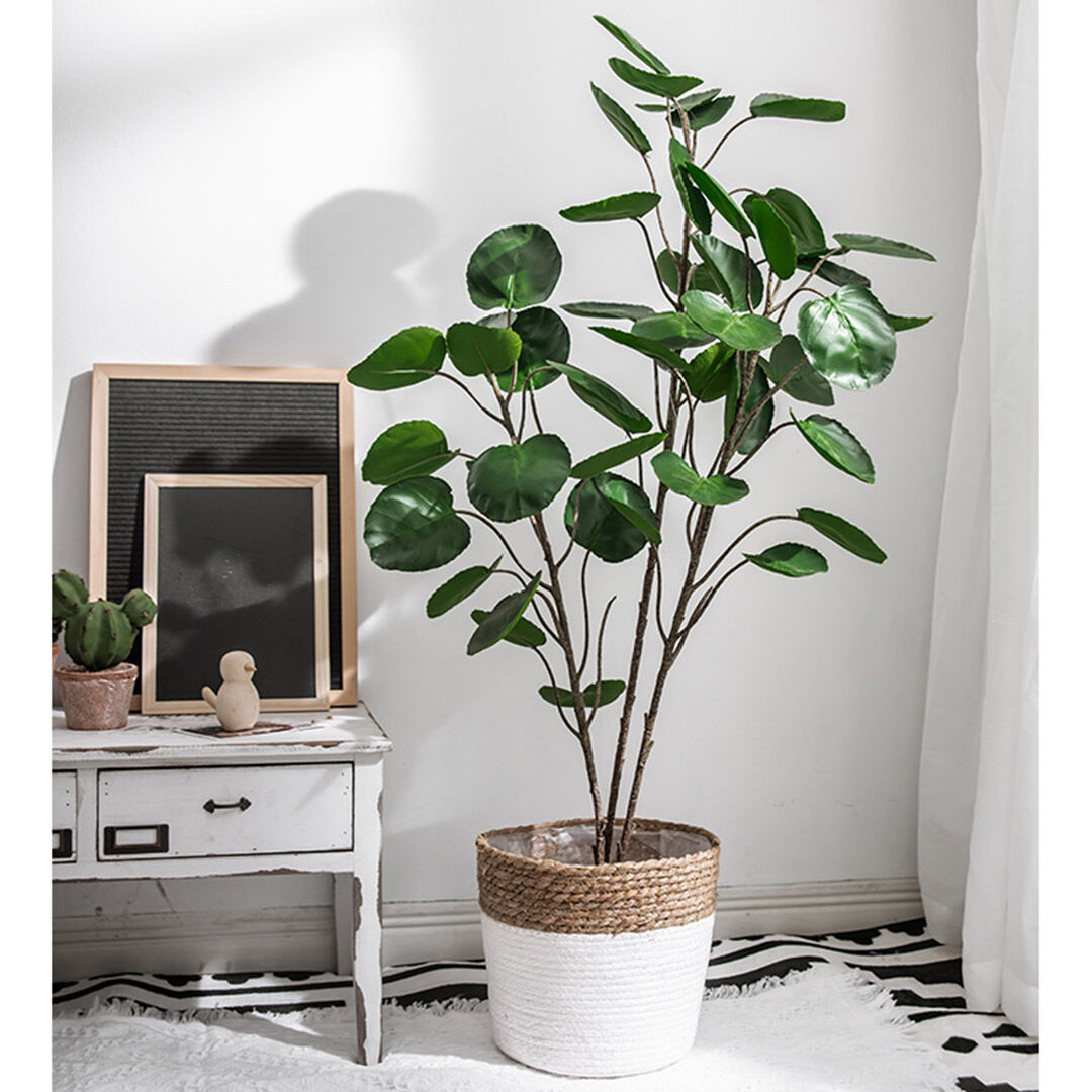 Green Artificial Indoor Pocket Money Tree Fake Plant Simulation Decorative Price