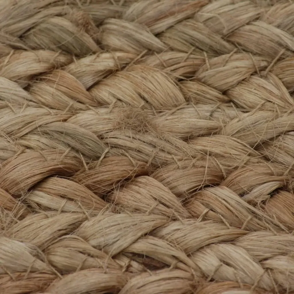 Area Rug Braided Jute Round Price