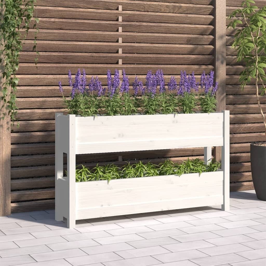 Planter Solid Wood Pine Price