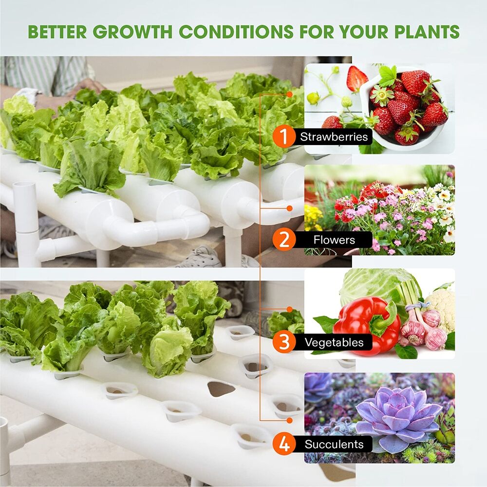 36 Sites Hydroponic Grow Tool Kits Vegetable Garden System 220V Water Pump Price