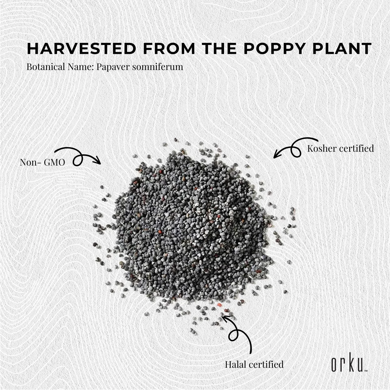 3.5Kg Poppy Seeds Unwashed Bucket Papaver Somniferum For Baking and Decorating Price