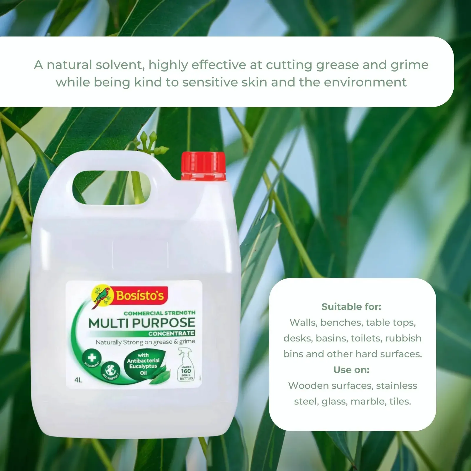 4L Multipurpose Cleaner Bosisto's Commercial Strength Concentrate Eucalyptus Oil Price