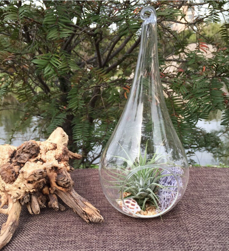 10 Pack of Hanging Clear Glass Tealight Candle Holder Tear Drop Pear Hour Glass Shape - 20cm High Terrarium Plant Mini Garden Holder Decoration Craft Price