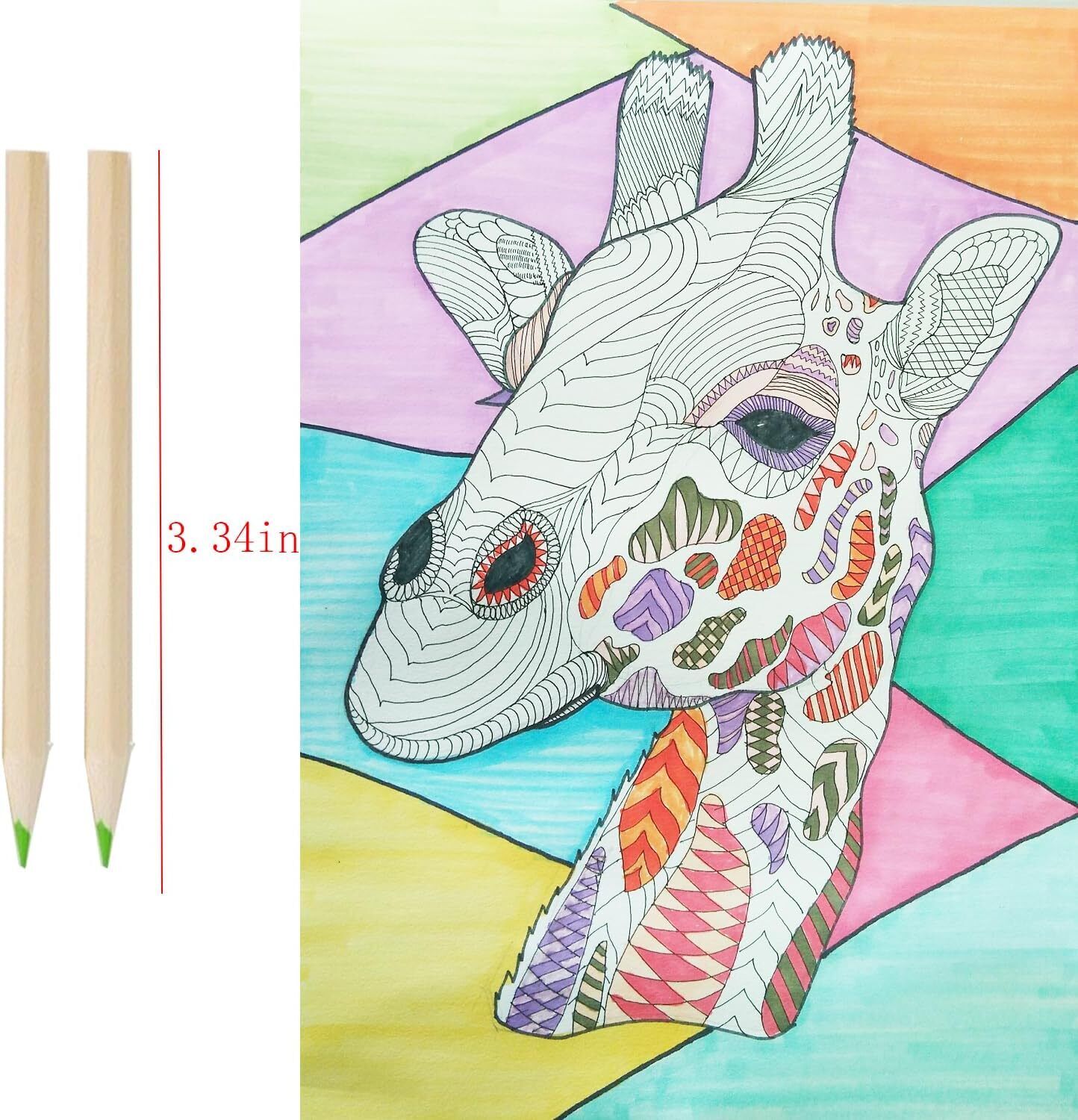 18pcs Mini Colour Pencils Junior Artist Coloured Pencils Kids Drawing Pencil Price