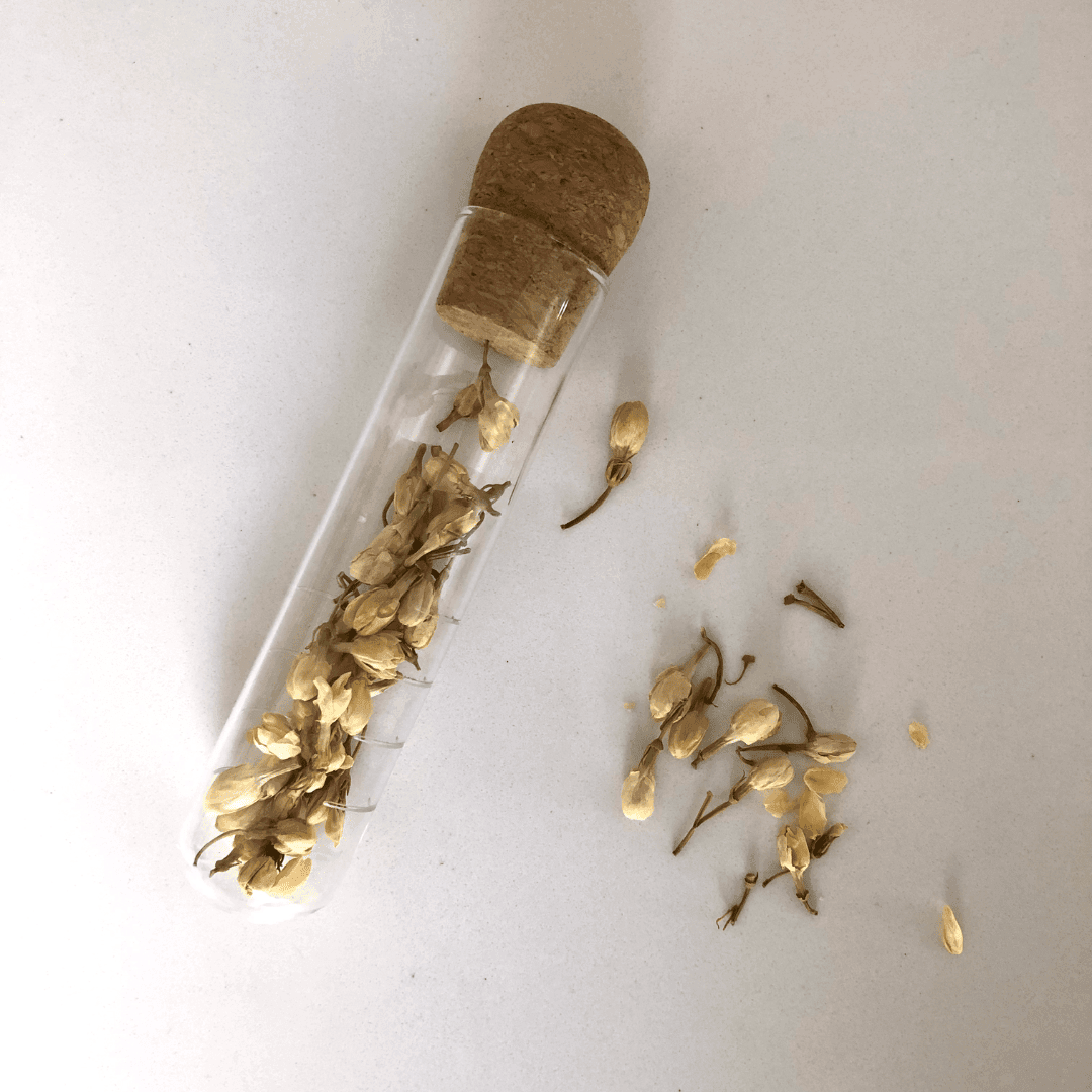 Tea Infusing Wand Price