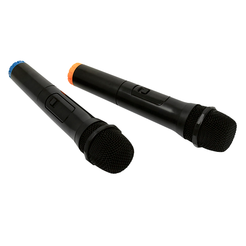 2 x Wireless Microphone Handheld Cordless Professional Mic Karaoke Receiver Price