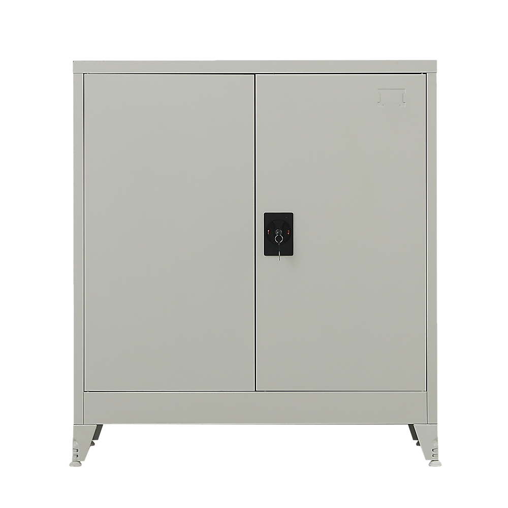 Two-Door Metal Short Cabinet Shelf Storage for Home Office Gym Price