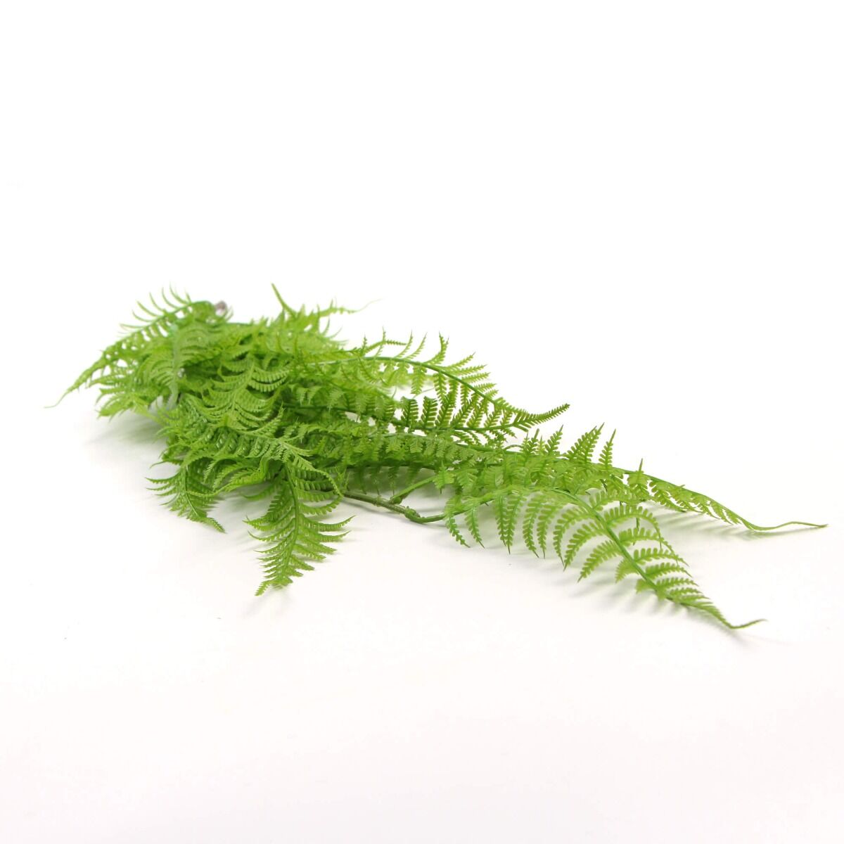 Hanging Fresh Green Boston Fern UV Resistant 80cm Price