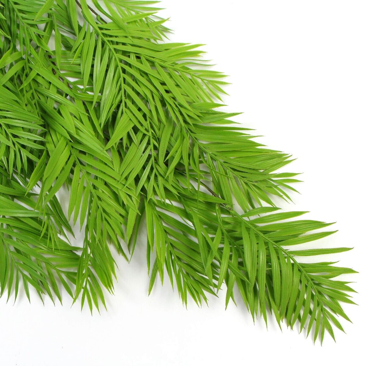 Hanging Fresh Green Bamboo Leaf Fern UV Resistant 80cm Price