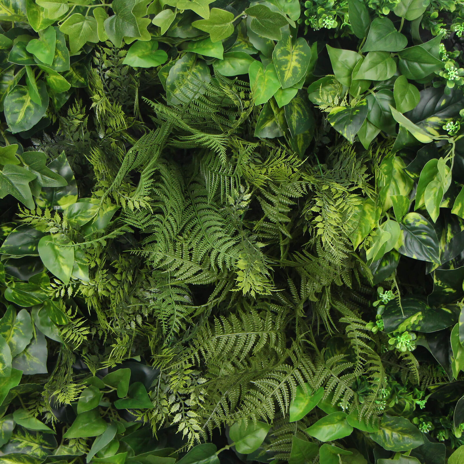 Slimline Artificial Green Wall Disc Art 80cm Mixed Green Fern & Ivy (Modern Black) Price