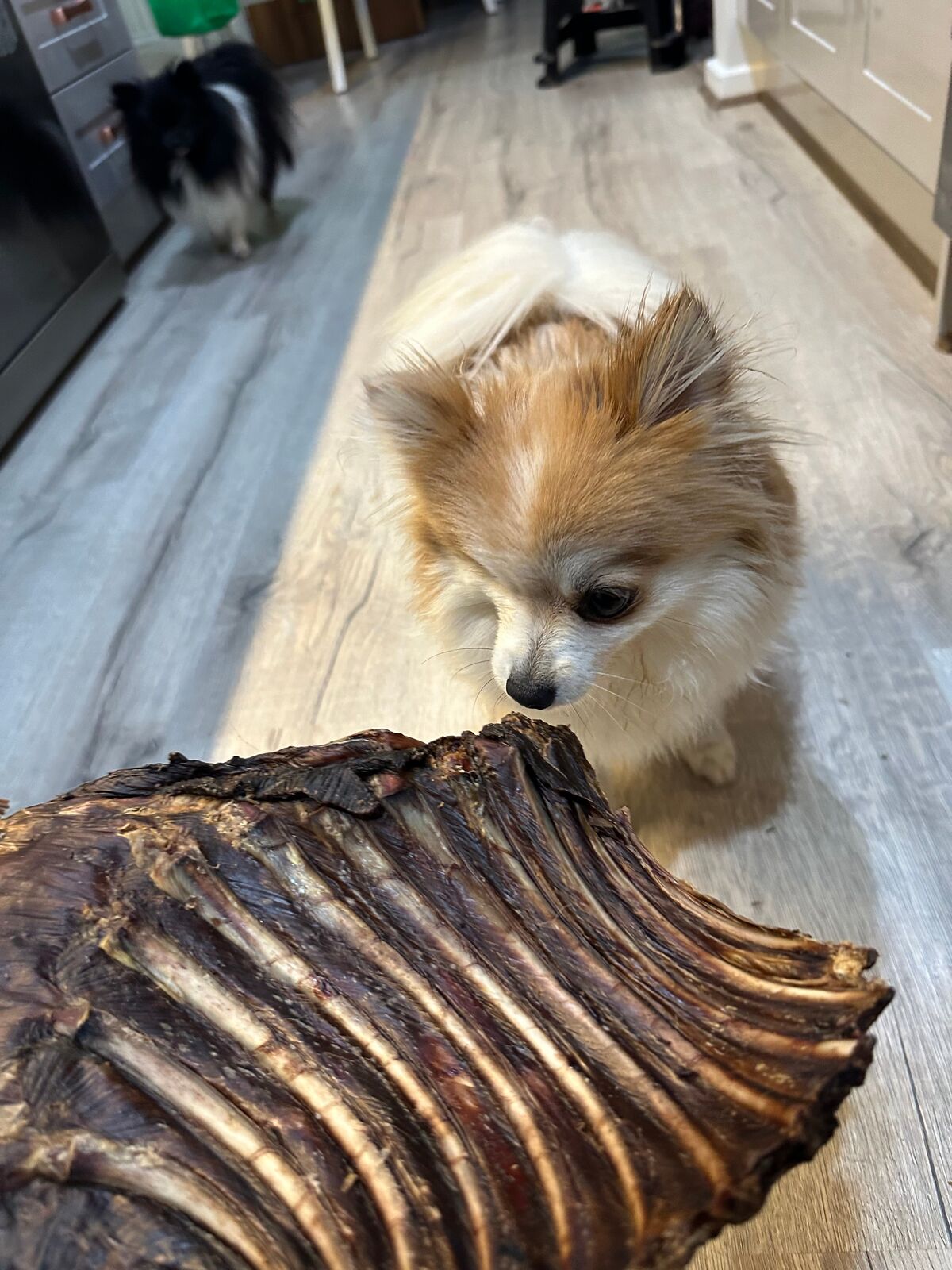 1x Just Kangaroo Rib Racks Price