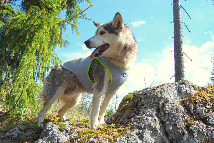 Cooling Vest - Yellow, 2XL Price