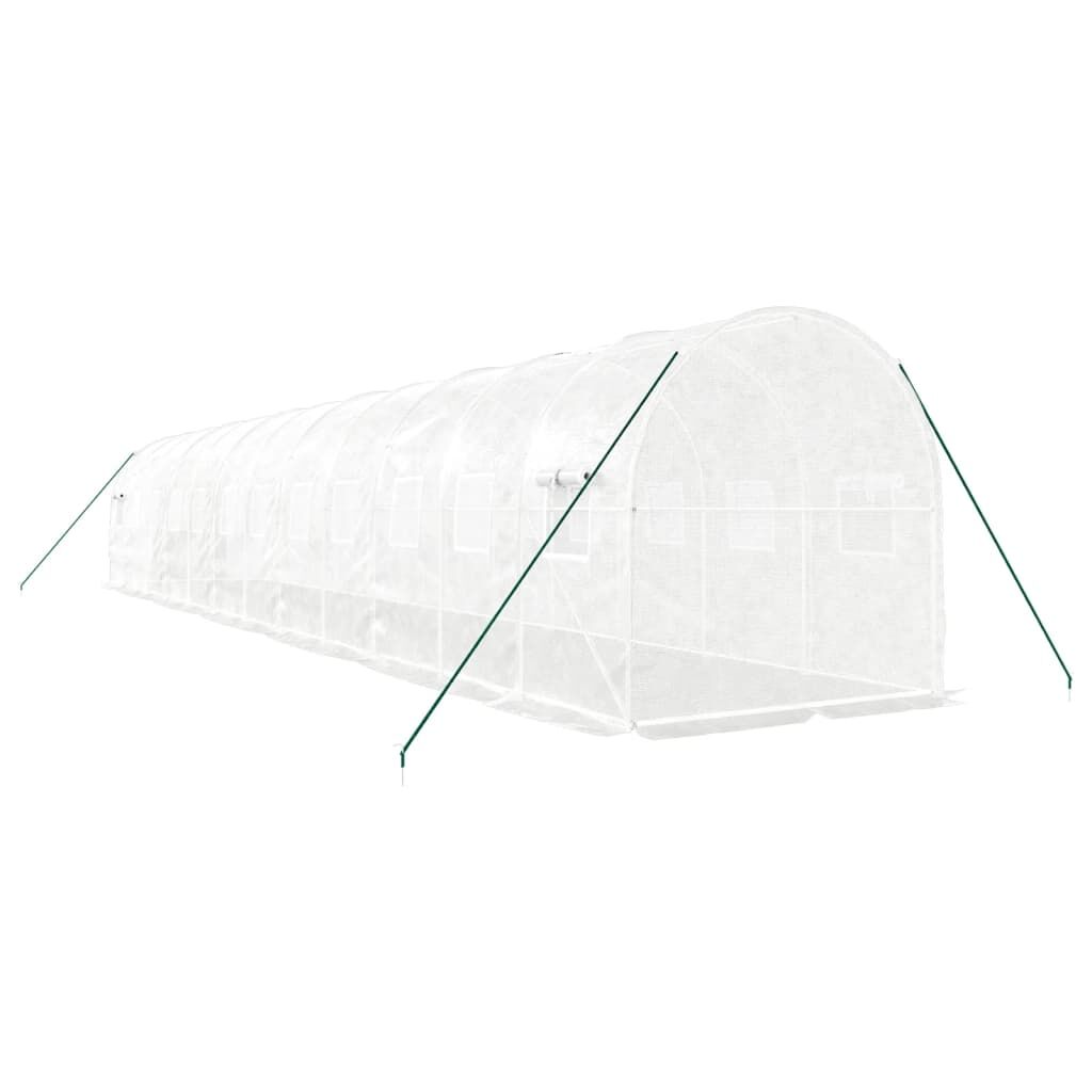 Greenhouse with Steel Frame White 24 m² 12x2x2 m Price