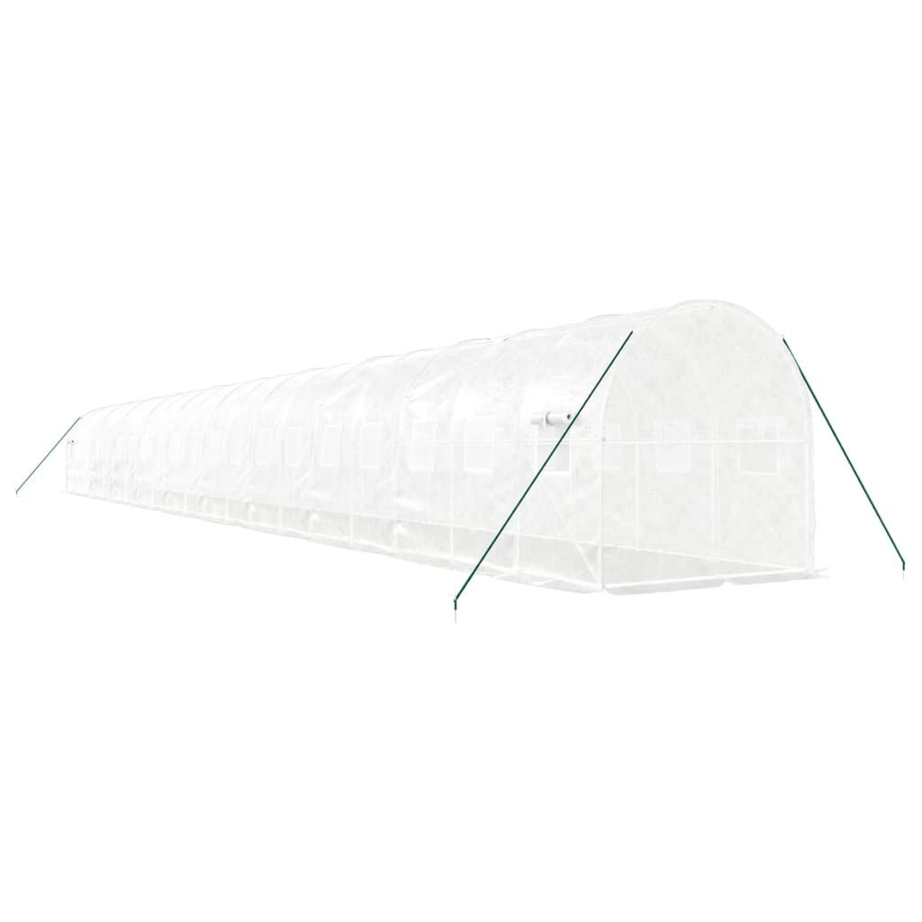 Greenhouse with Steel Frame White 40 m² 20x2x2 m Price