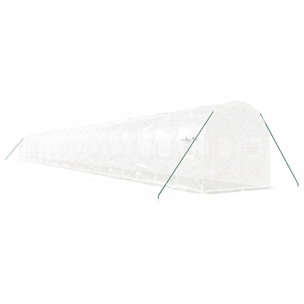 Greenhouse with Steel Frame White 48m² 24x2x2 m Price