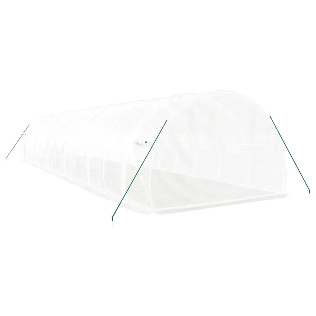 Greenhouse with Steel Frame White 36 m² 12x3x2 m Price