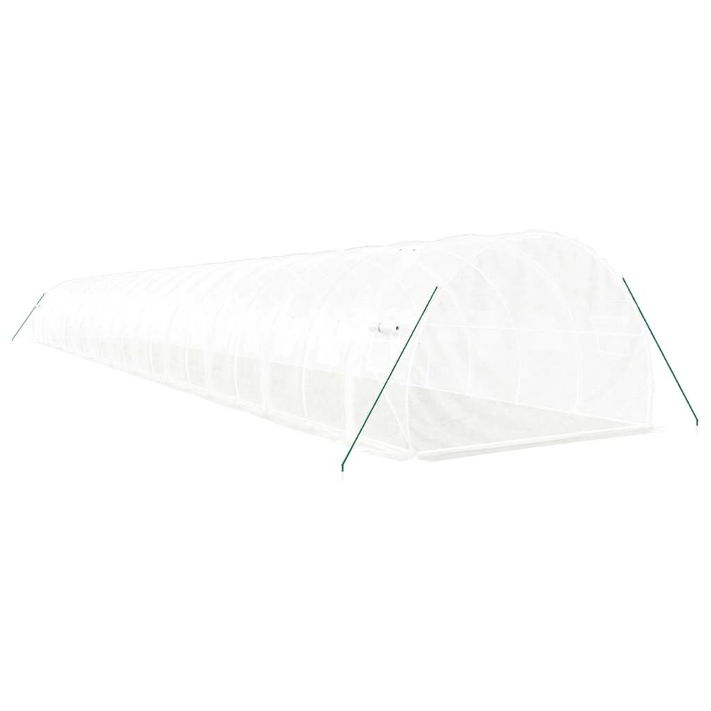 Greenhouse with Steel Frame White 66 m² 22x3x2 m Price