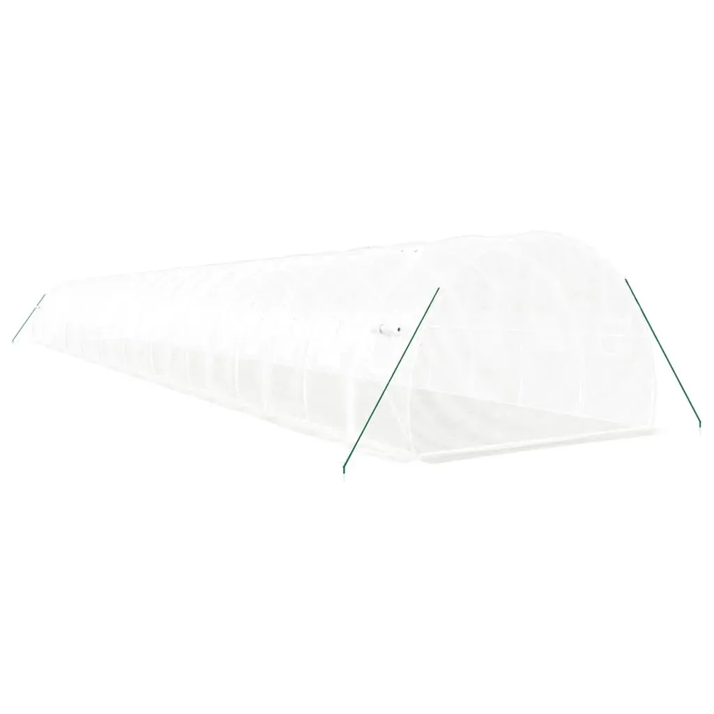 Greenhouse with Steel Frame White 66 m² 22x3x2 m Price