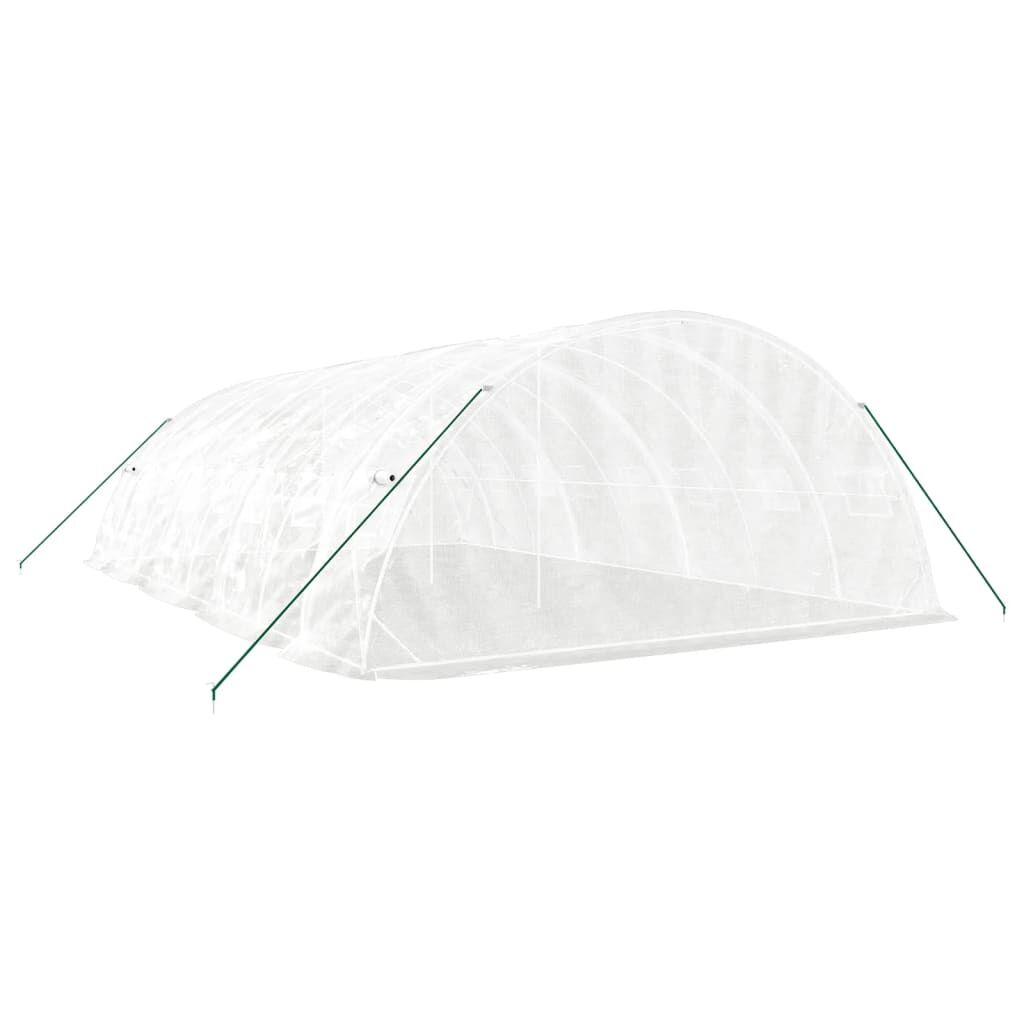 Greenhouse with Steel Frame White 40 m² 8x5x2.3 m Price