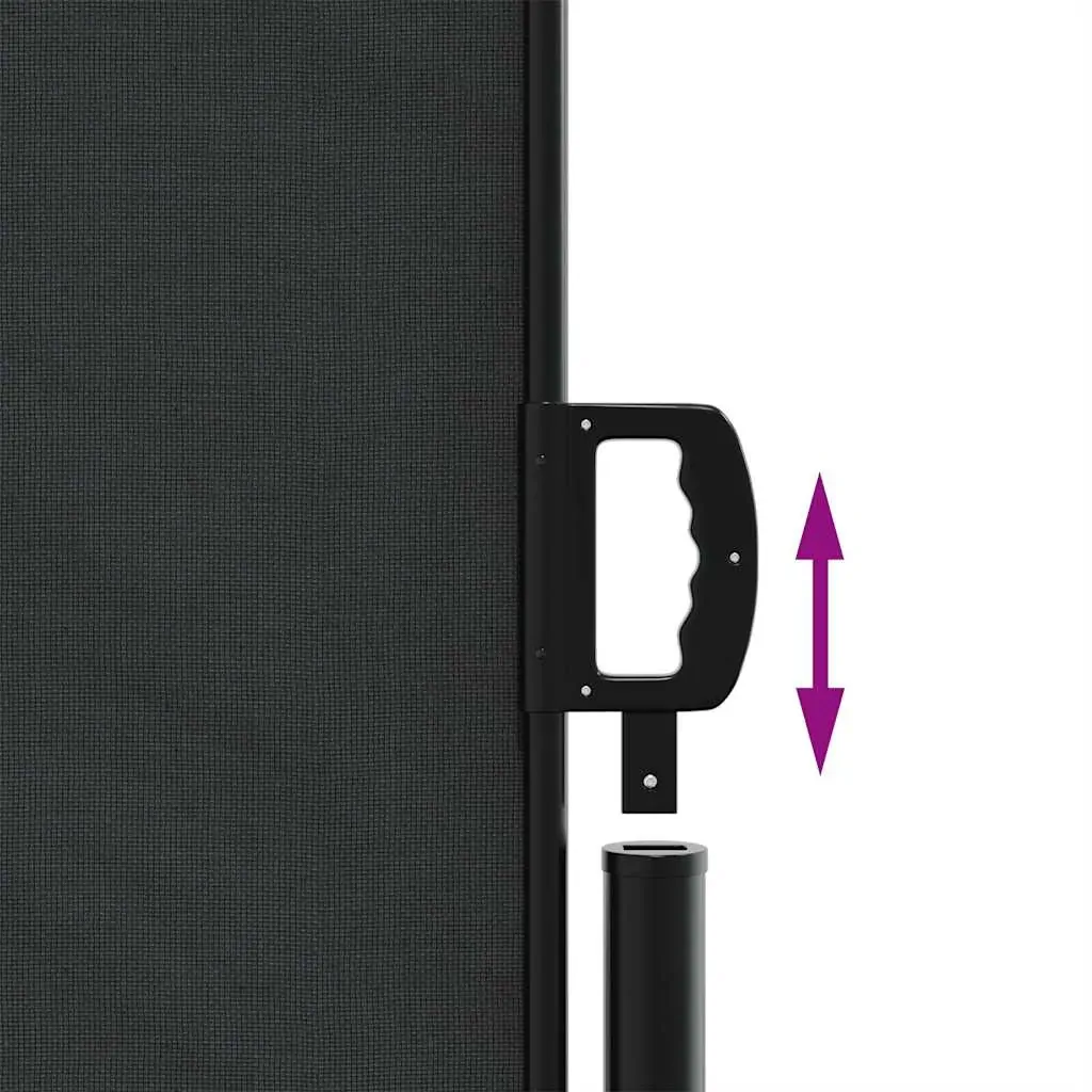 Retractable Side Awning Black 117x300 cm Price