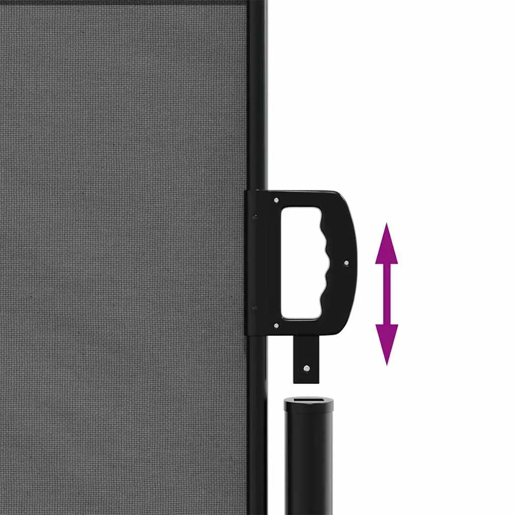 Retractable Side Awning Anthracite 140x300 cm Price