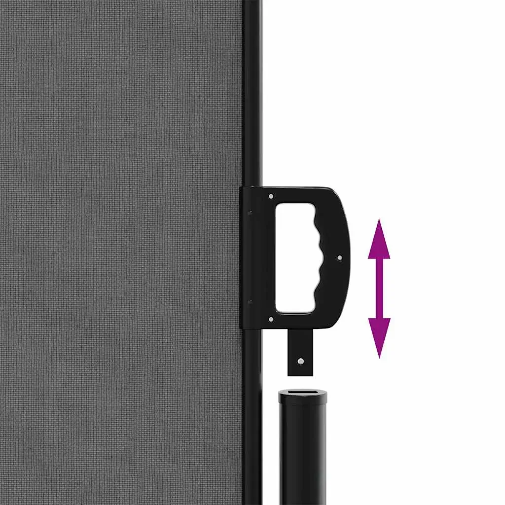 Retractable Side Awning Anthracite 220x300 cm Price