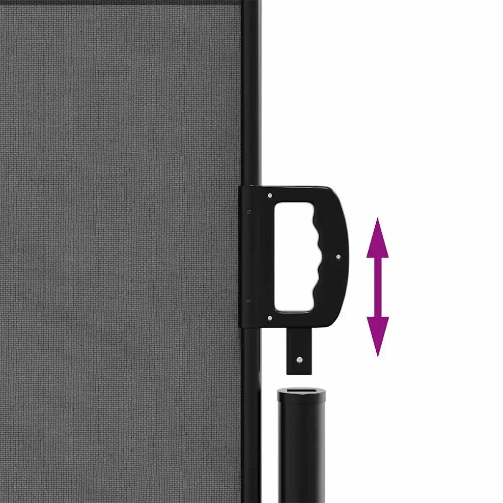 Retractable Side Awning Anthracite 100x500 cm Price