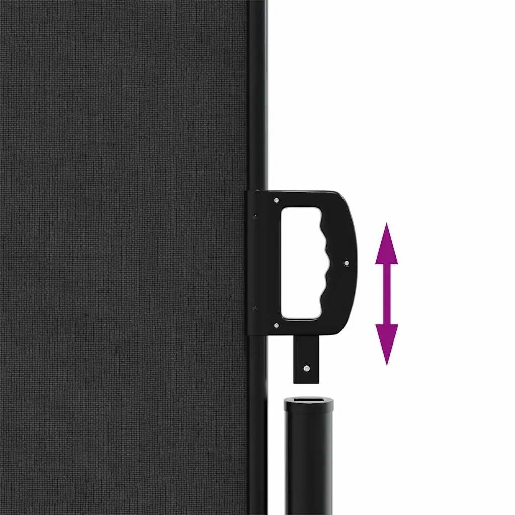 Retractable Side Awning Black 180x600 cm Price
