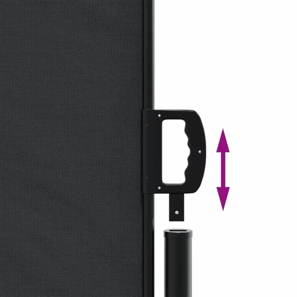 Retractable Side Awning Black 120x1000 cm Price