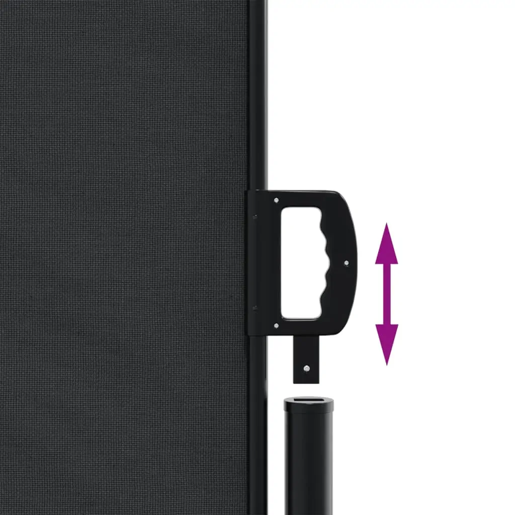 Retractable Side Awning Black 160x1000 cm Price