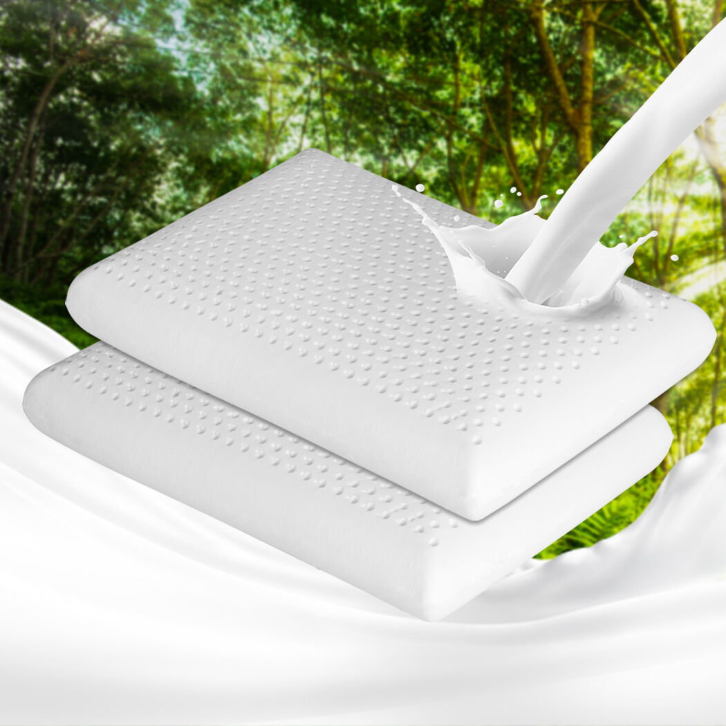 2x Natural Latex Pillow Removable Price