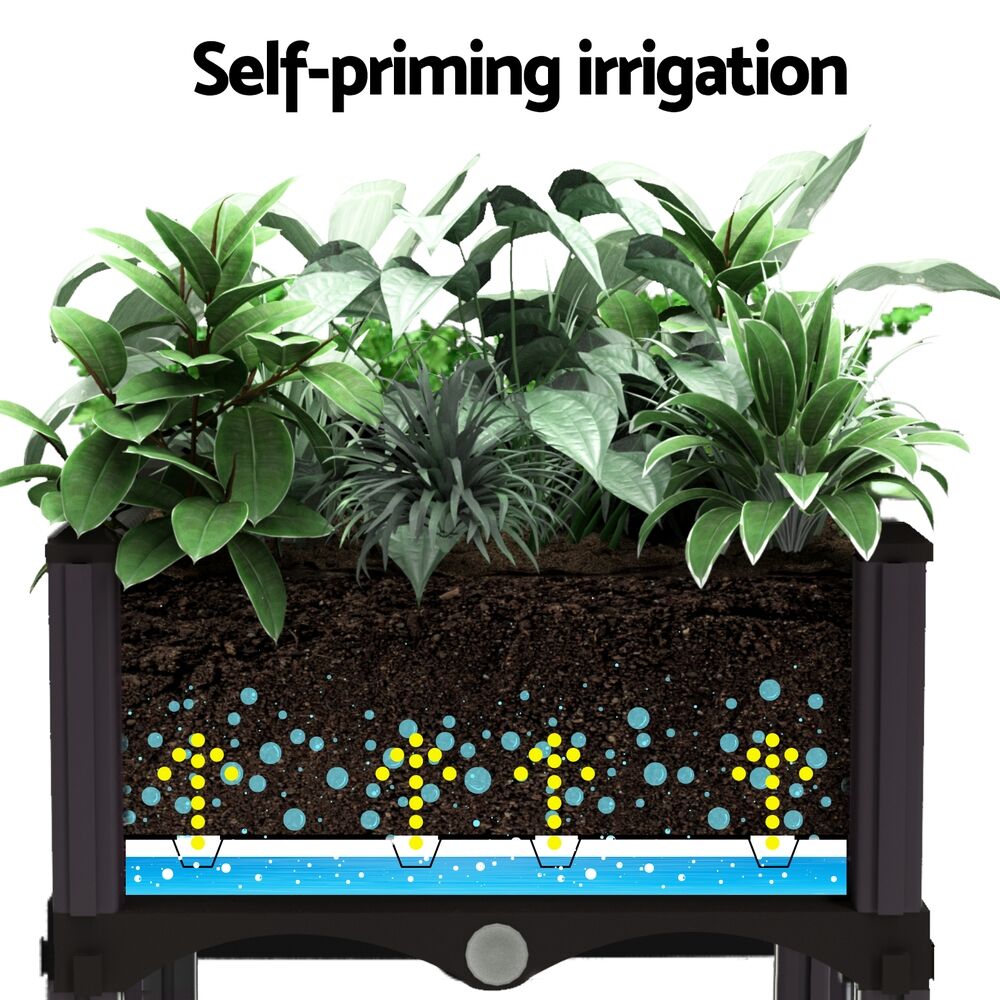 Green Fingers Garden Bed 120x40x36cm PP Planter Box Raised Container Growing Herb Price