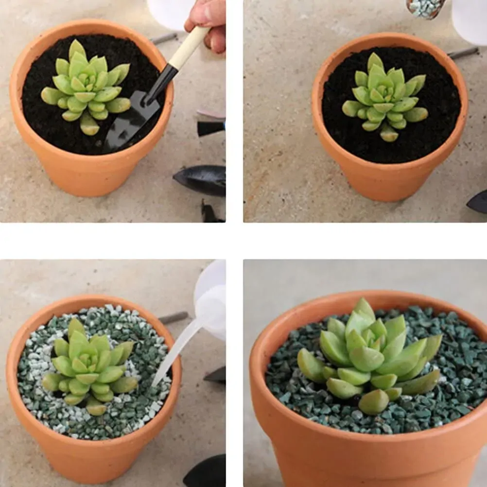 Flower Pot Pots Clay Ceramic Plant Drain Hole Succulent Cactus Nursery Planter Price