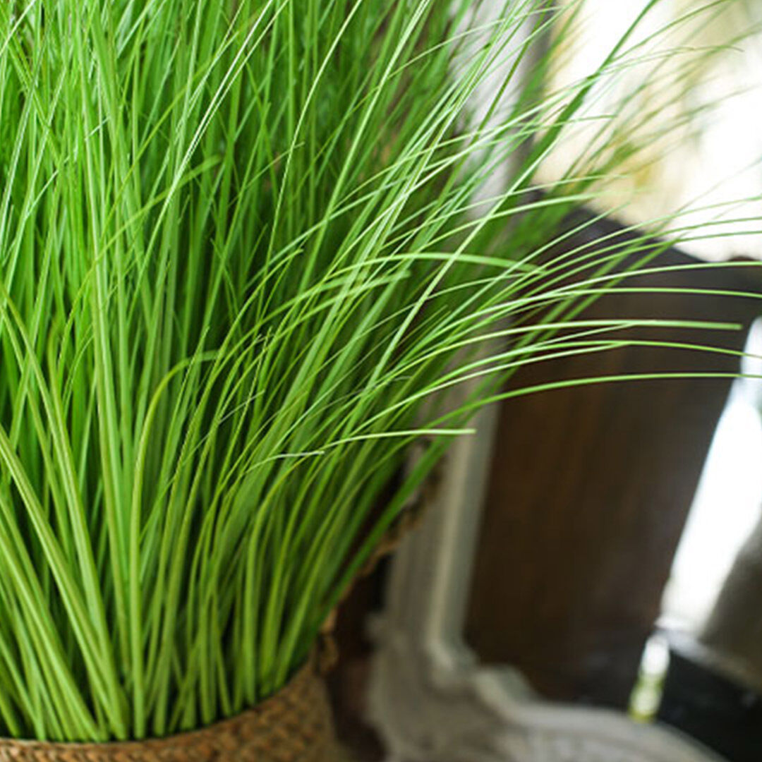 Green Artificial Indoor Potted Bulrush Grass Tree Fake Plant Simulation Decorative Price