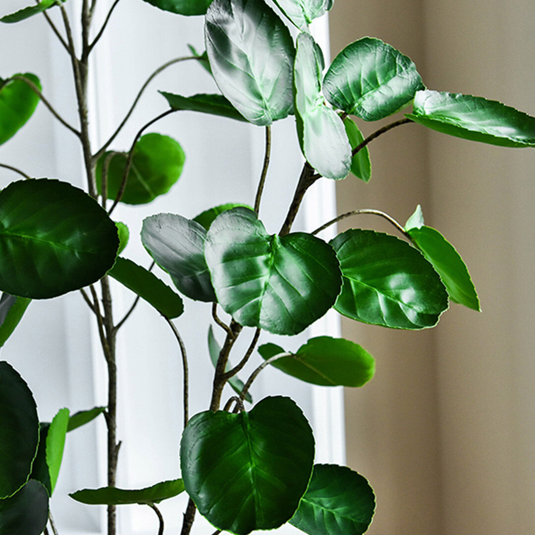 Green Artificial Indoor Pocket Money Tree Fake Plant Simulation Decorative Price