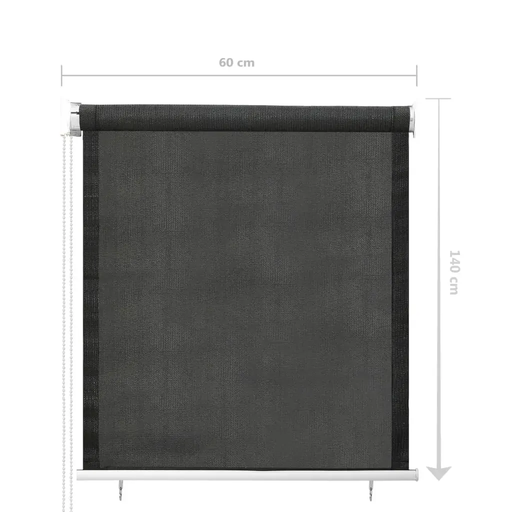 Outdoor Roller Blind Anthracite Price