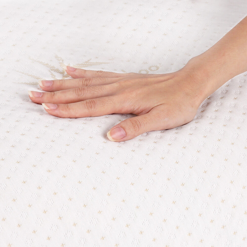 Memory Foam Pillow Bamboo Cover Twin Pack Price