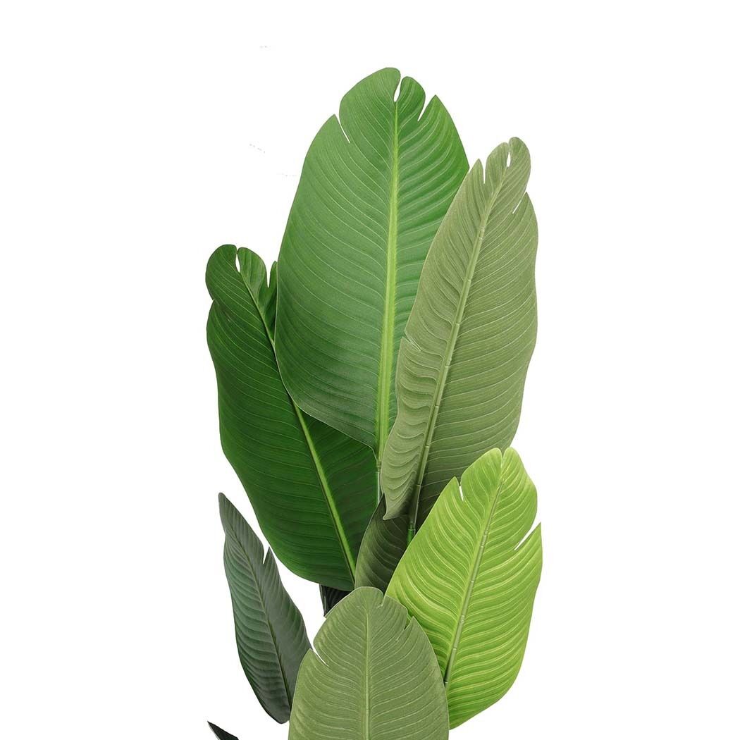 160cm Artificial Plants Tree Room Price