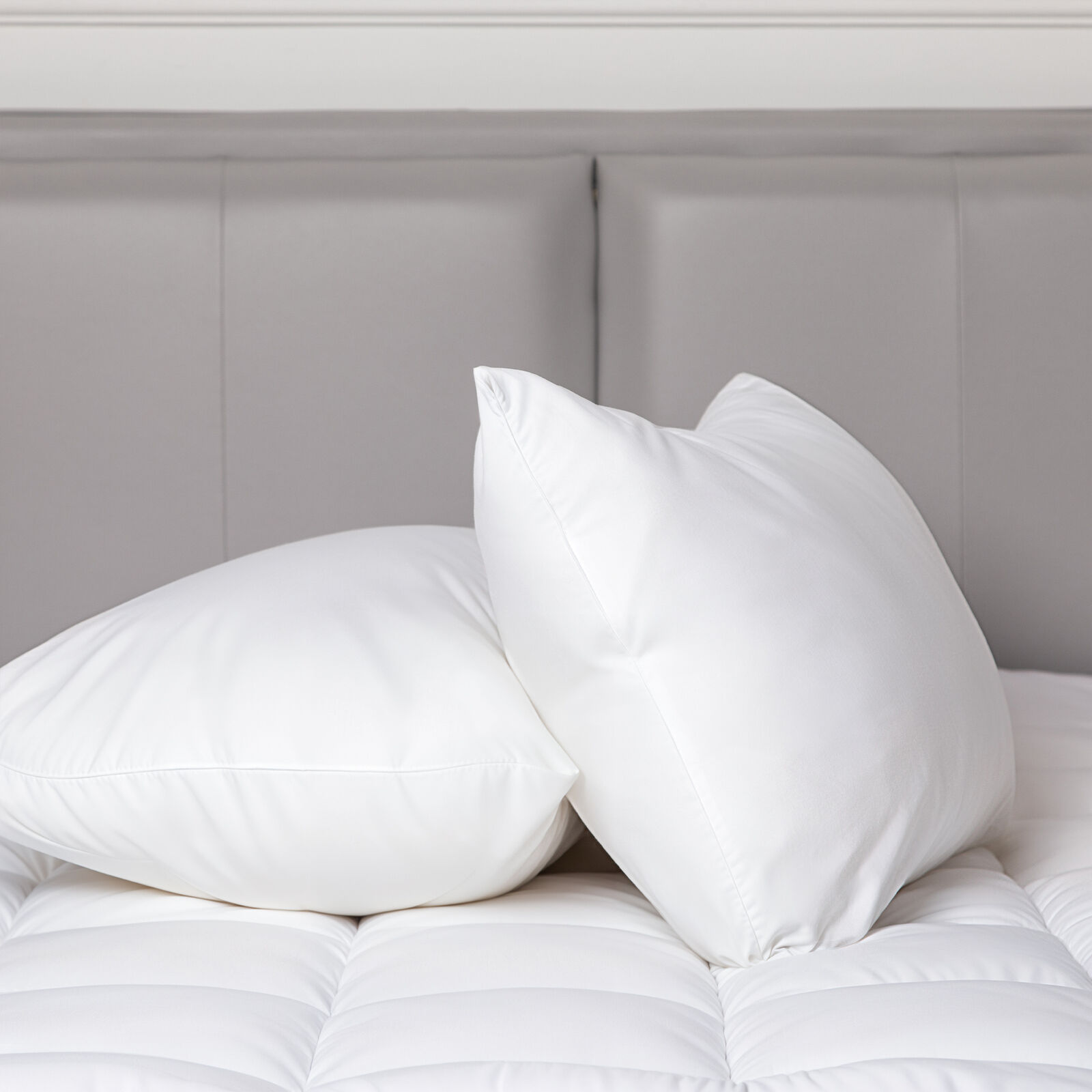 100 Percent Cotton Pillow Cover with 800g Poly Fill, Hypoallergenic, Antibacterial, and Cooling Technology 2 PK Price